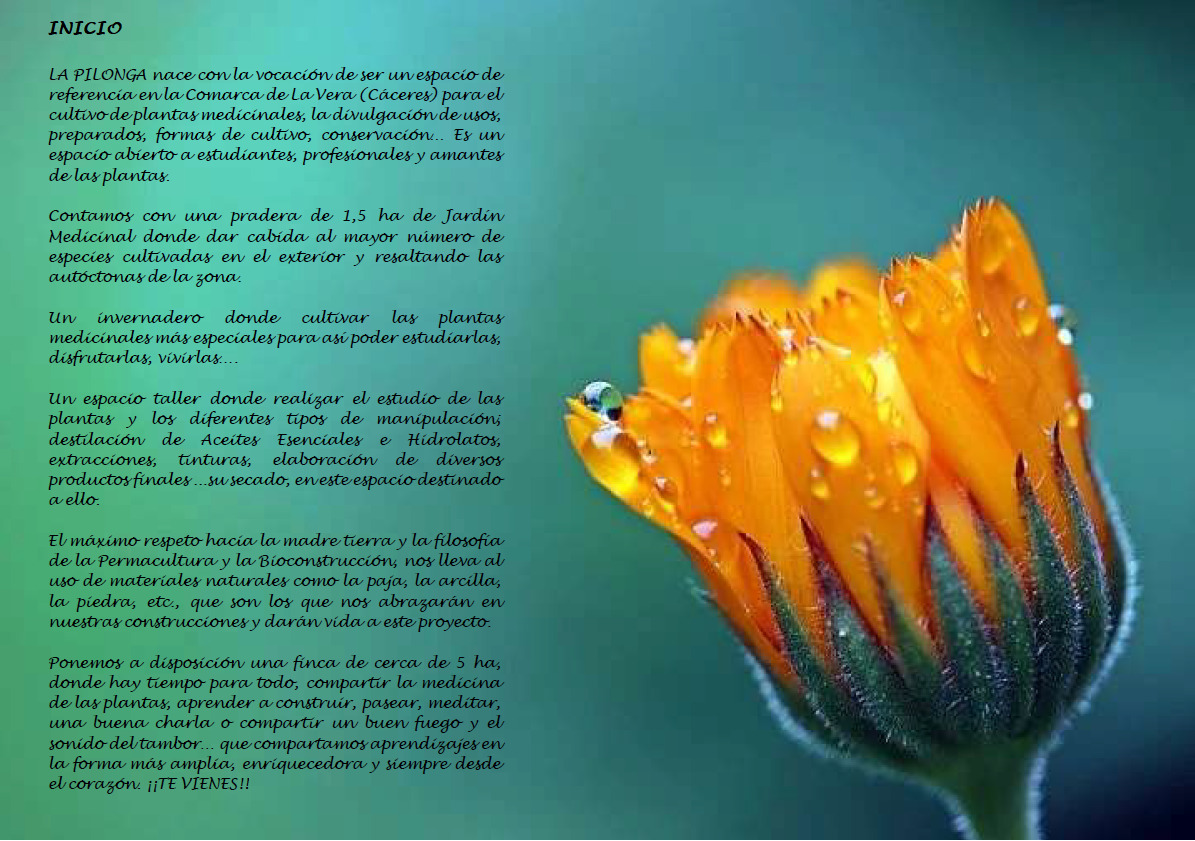 Inicio